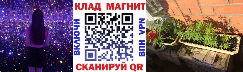 Все наркотики Дальнегорск ссылка на мегу ссылки  Канабис  СОЛЬ  Гашиш  Мефедрон  Cocaine 