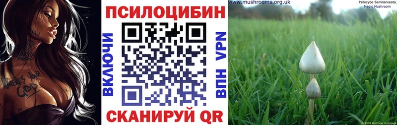 Галлюциногенные грибы мухоморы Дальнегорск